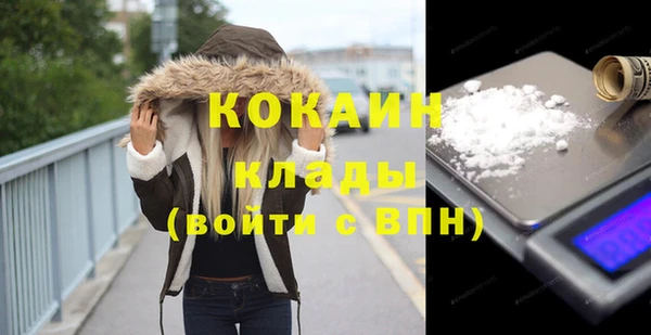 шишки Абаза