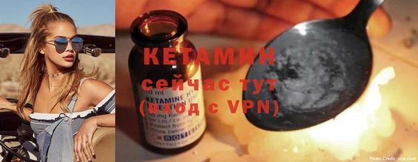 шишки Абаза