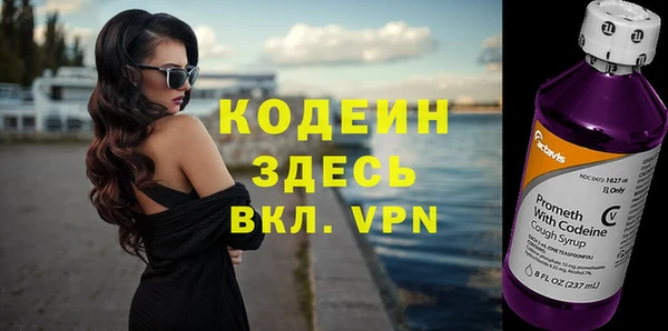 шишки Абаза