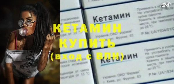 шишки Абаза
