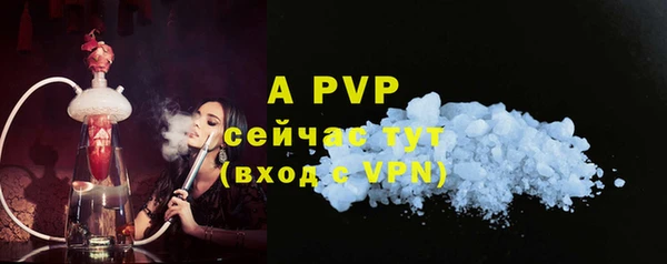 шишки Абаза