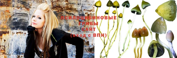 шишки Абаза