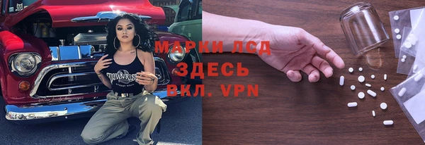 шишки Абаза