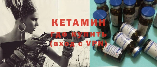 шишки Абаза