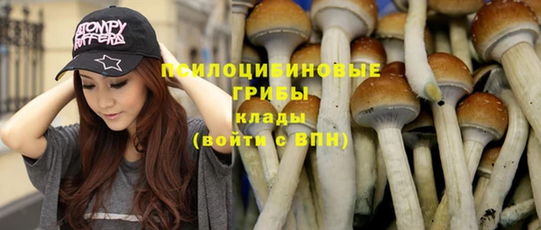 шишки Абаза