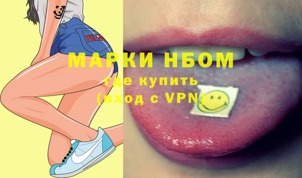 шишки Абаза